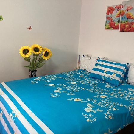 Appartement Cosy Hideaway à Braşov Extérieur photo