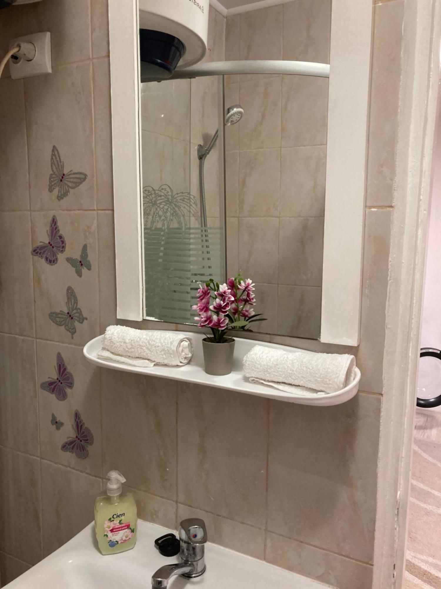 Appartement Cosy Hideaway à Braşov Extérieur photo