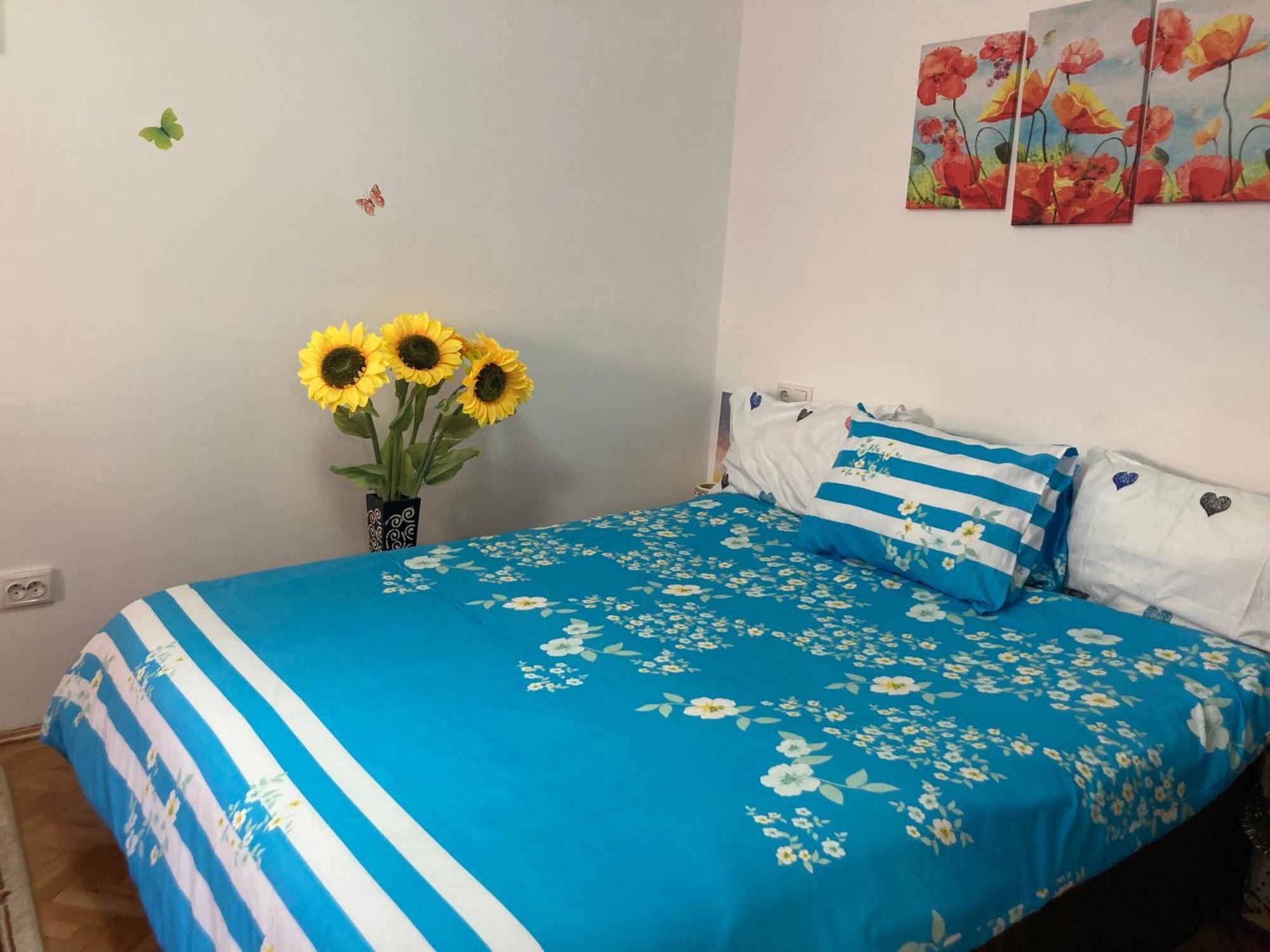 Appartement Cosy Hideaway à Braşov Extérieur photo